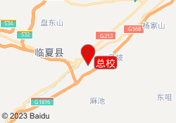 总校