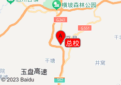 总校