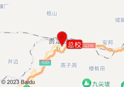 总校