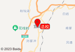 总校
