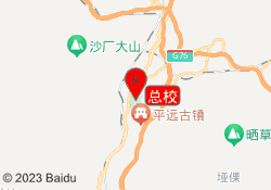 总校