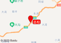总校