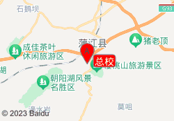 总校