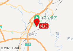 总校