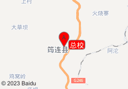 总校