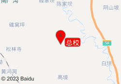总校