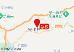总校