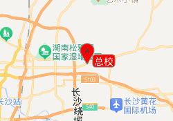 总校
