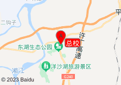 总校