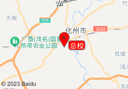 总校