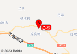 总校