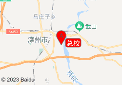 总校