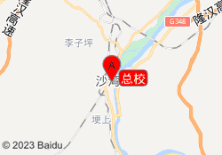 总校