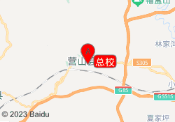 总校