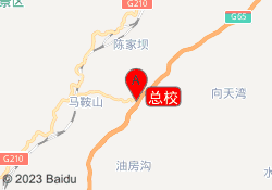 总校