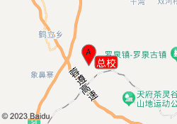 总校