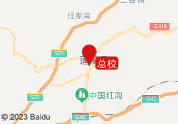 总校