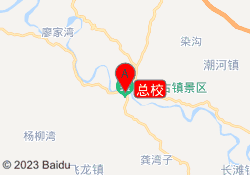 总校