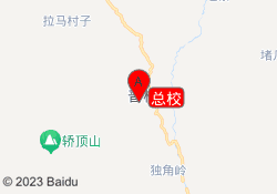 总校