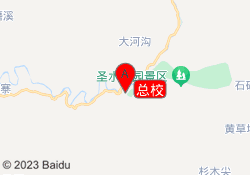 总校