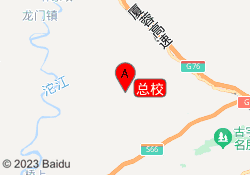 总校