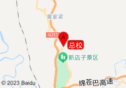 总校