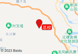 总校