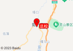 总校