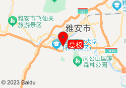 总校