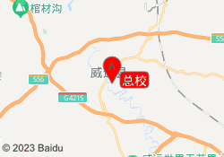 总校