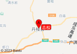 总校