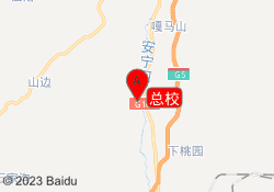 总校