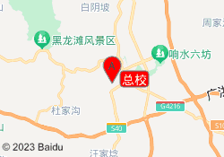 总校