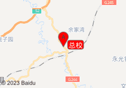 总校