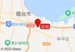 总校