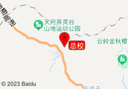 总校