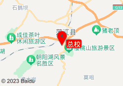 总校