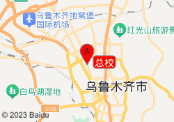 总校