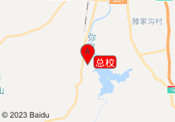 总校