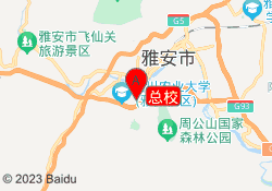 总校