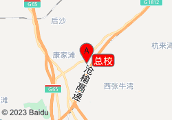 总校