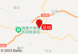 总校