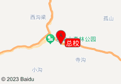 总校