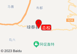 总校