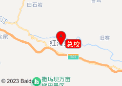 总校
