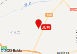 总校