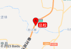 总校