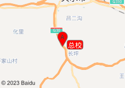 总校