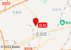 总校