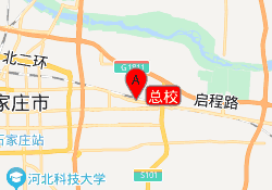 总校